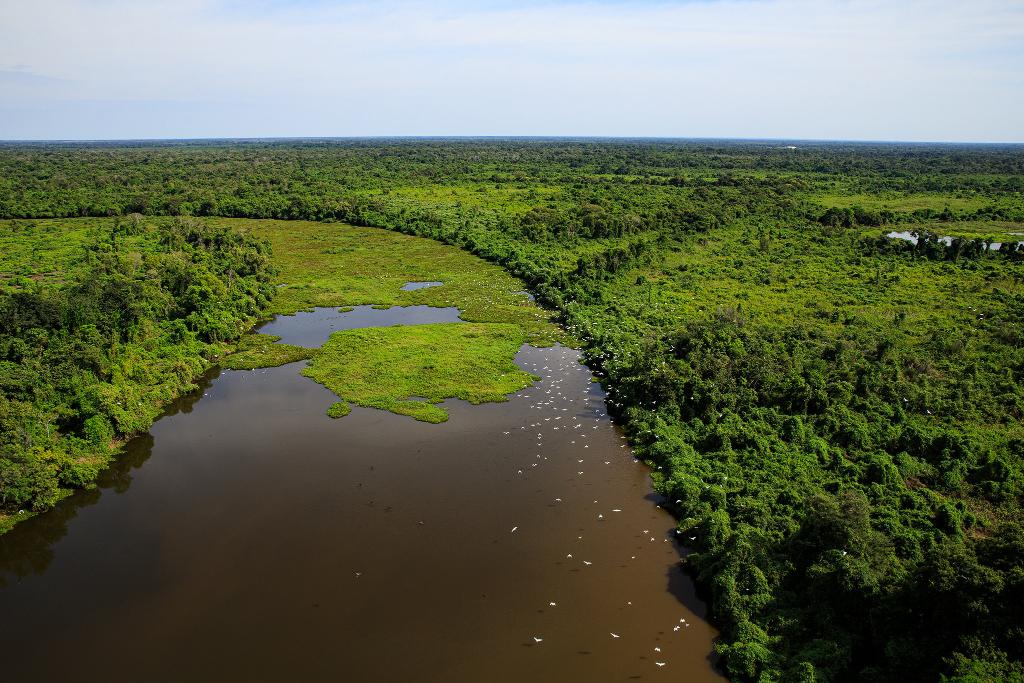 Um acordo de cooperação técnica será assinado estabelecendo as ações conjuntas, entre elas critérios para o uso do fogo no Pantanal Crédito - Marcos Vergueiro/Secom-MT