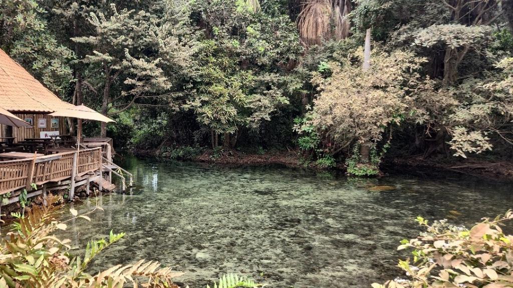 Nova análise da Sema aponta que Balneário e Rio Estivado estão próprios para banho