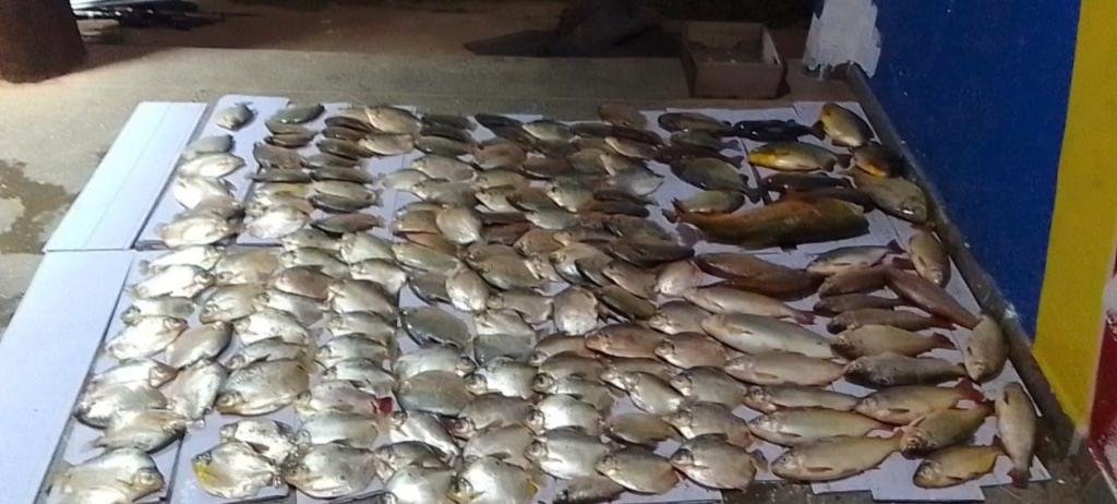 Sema apreende 119 kg de peixes de espécies proibidas e fora da medida em Santo Antônio de Leverger