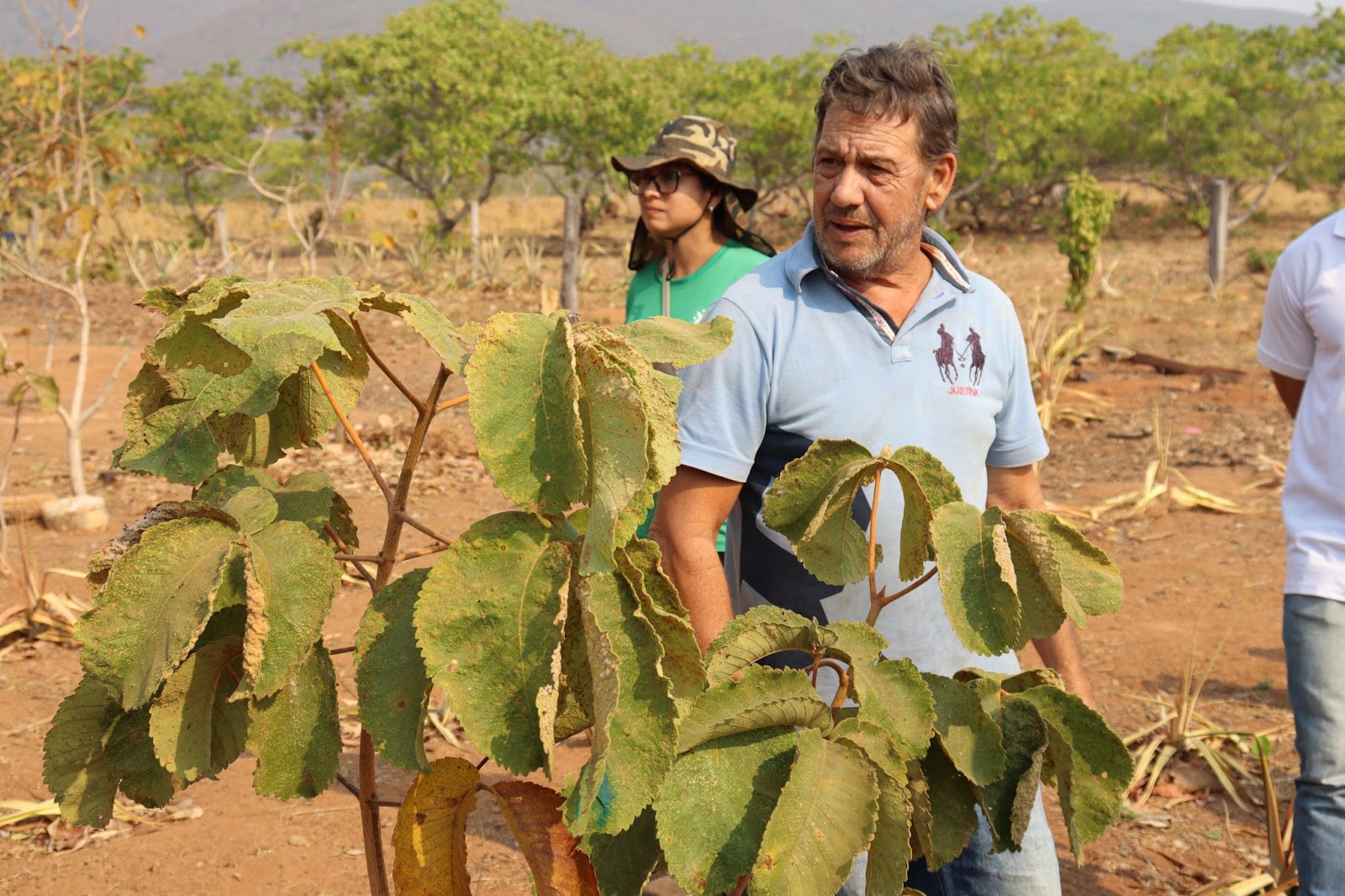 Programa REM MT fortalece cadeia do pequi com estruturação de agroindústria no norte de Mato Grosso